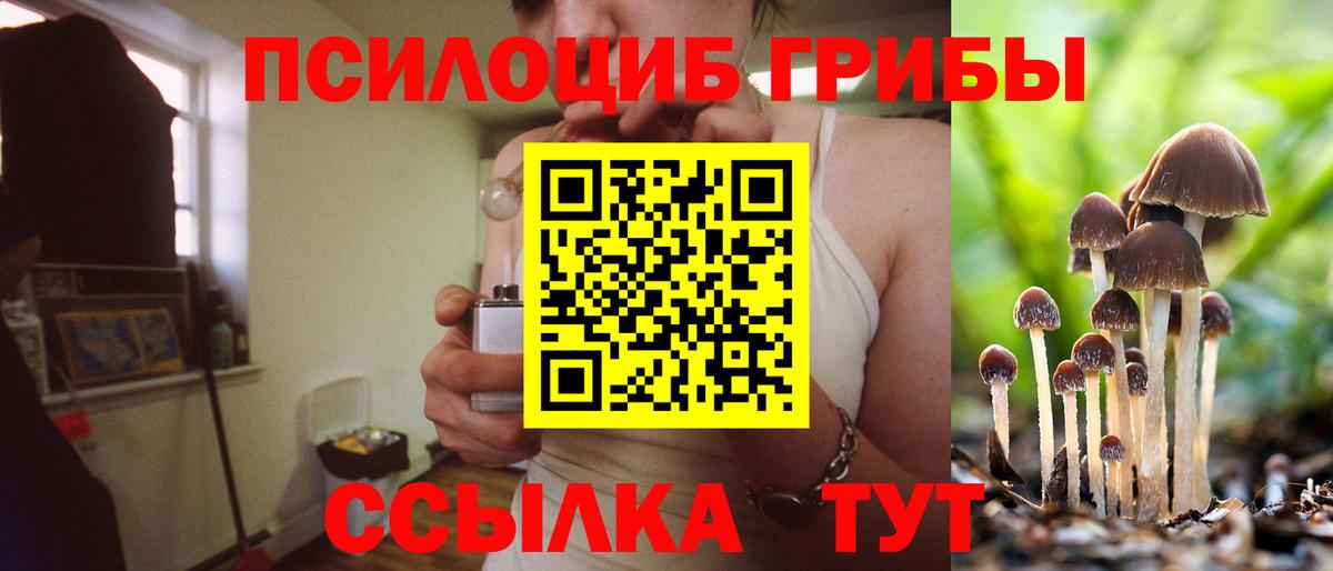 Псилоцибиновые грибы Psilocybine cubensis  Вход с VPN  Клинцы 